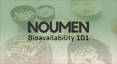 Bioavailability 101 - Bioverfügbarkeit von Supplements