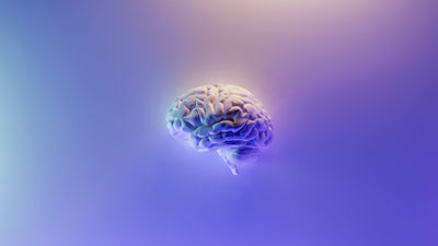 What is Braincare? 
